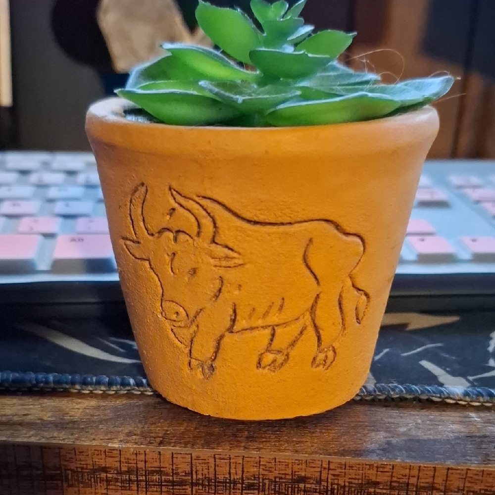 Terracotta Bull Planter with Succulent